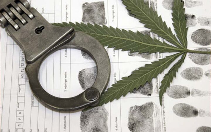 Lei de Drogas e a dosimetria da pena